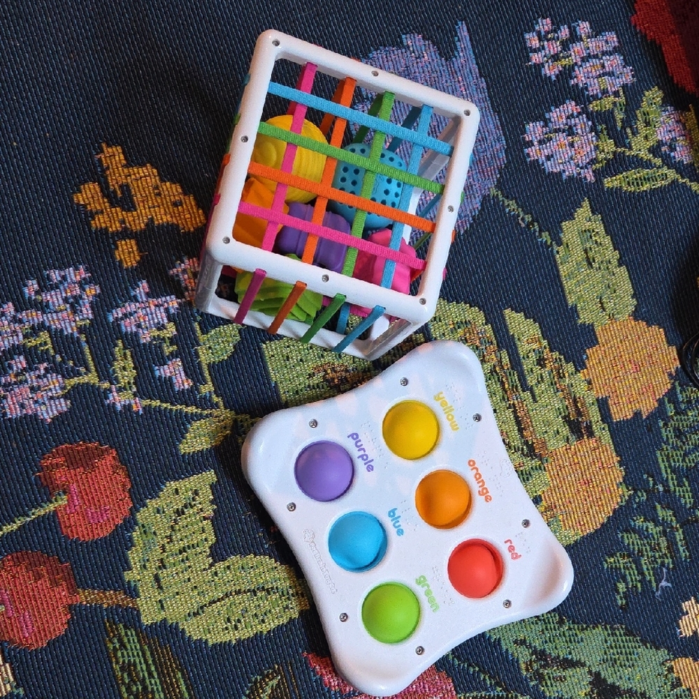 Fat Brain Toys Inny Bin and DIMPL duo